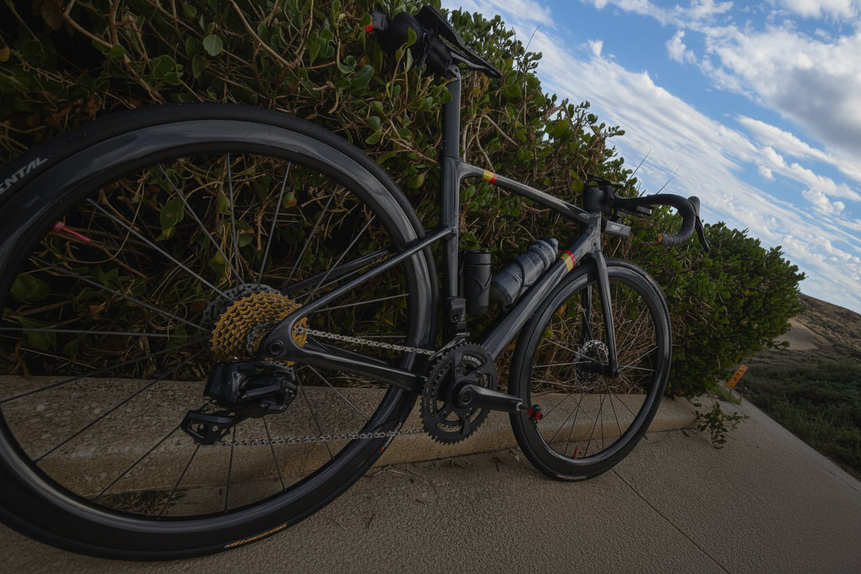 Bicycle leaning against a wall with a scenic background of trees and blue sky.